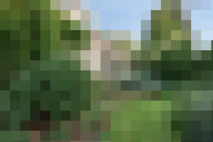 Moerkamp 42 Beugen thumbnail 11