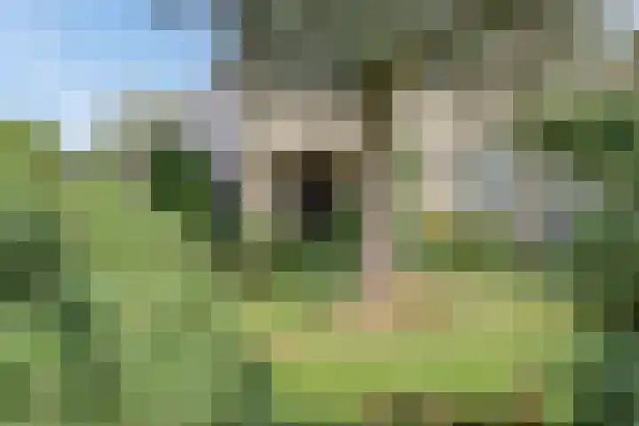 Moerkamp 42 Beugen thumbnail 12