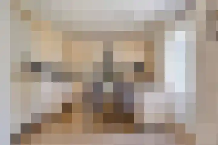 Moerkamp 42 Beugen thumbnail 23