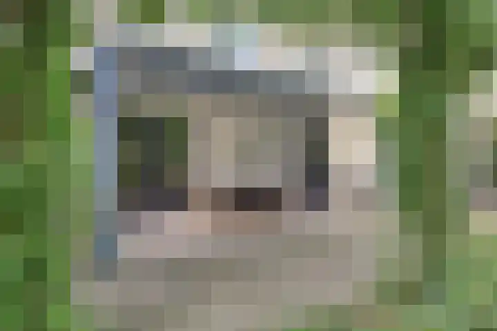 Moerkamp 42 Beugen thumbnail 27