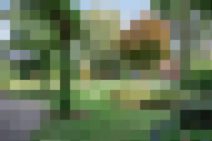 Moerkamp 42 Beugen thumbnail 30