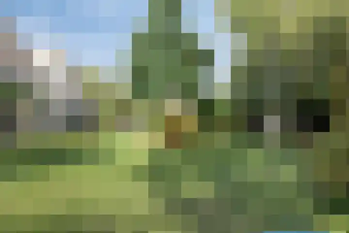 Moerkamp 42 Beugen thumbnail 33