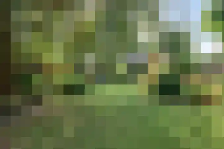 Moerkamp 42 Beugen thumbnail 35