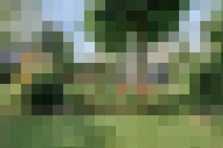Moerkamp 42 Beugen thumbnail 36