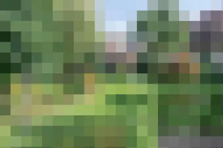 Moerkamp 42 Beugen thumbnail 44