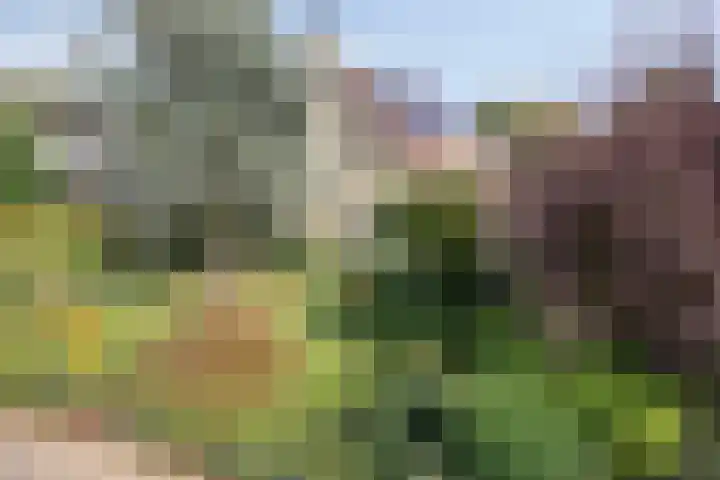 Moerkamp 42 Beugen thumbnail 7