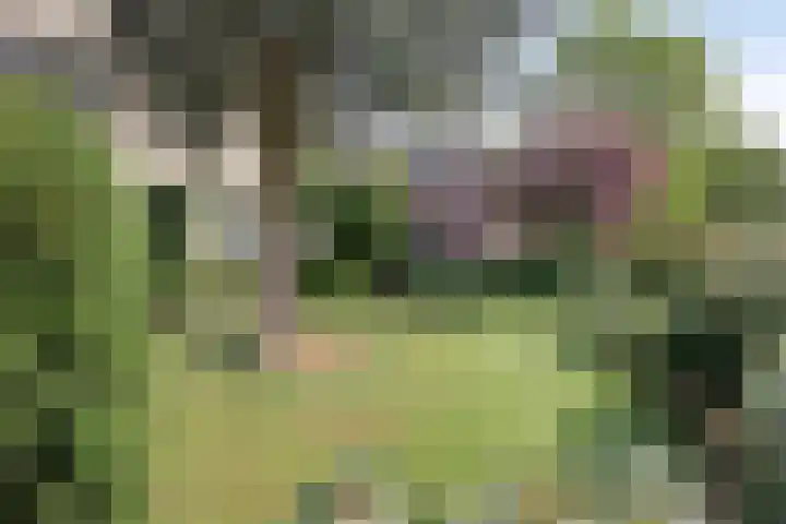 Moerkamp 42 Beugen thumbnail 9