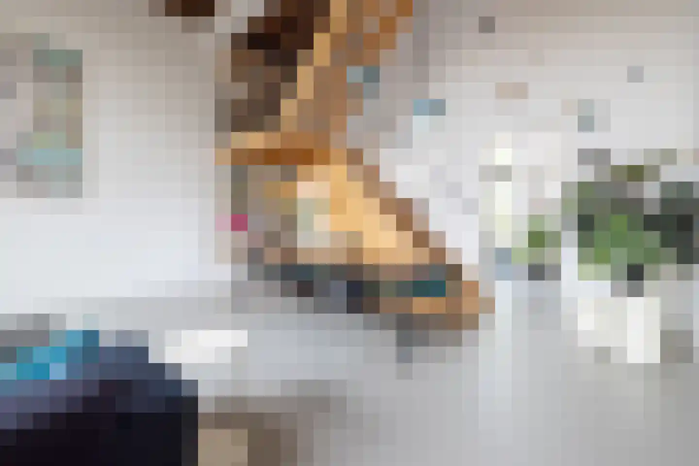 Moerkapellestraat 19 Rotterdam thumbnail 13