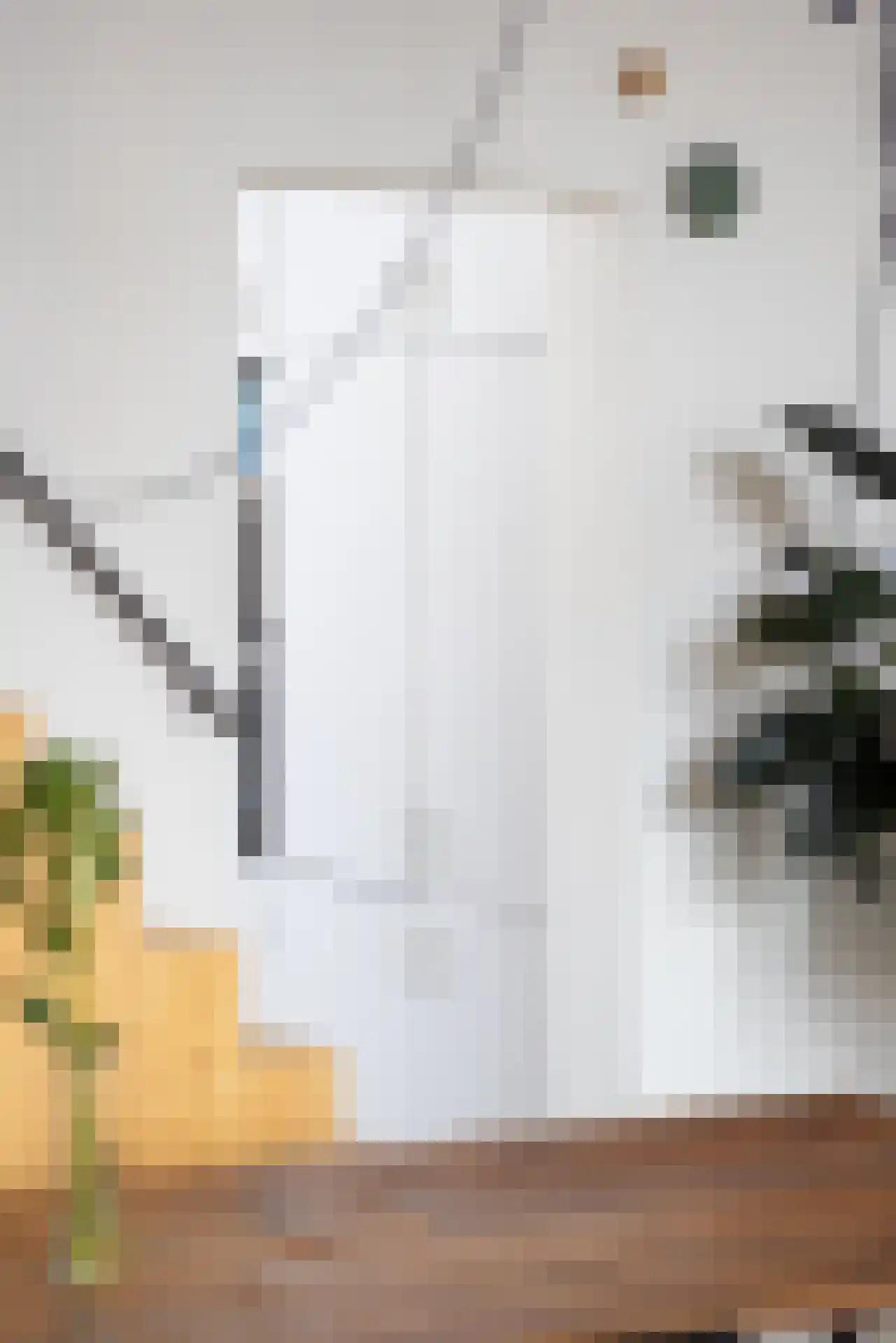 Moerkapellestraat 19 Rotterdam thumbnail 14