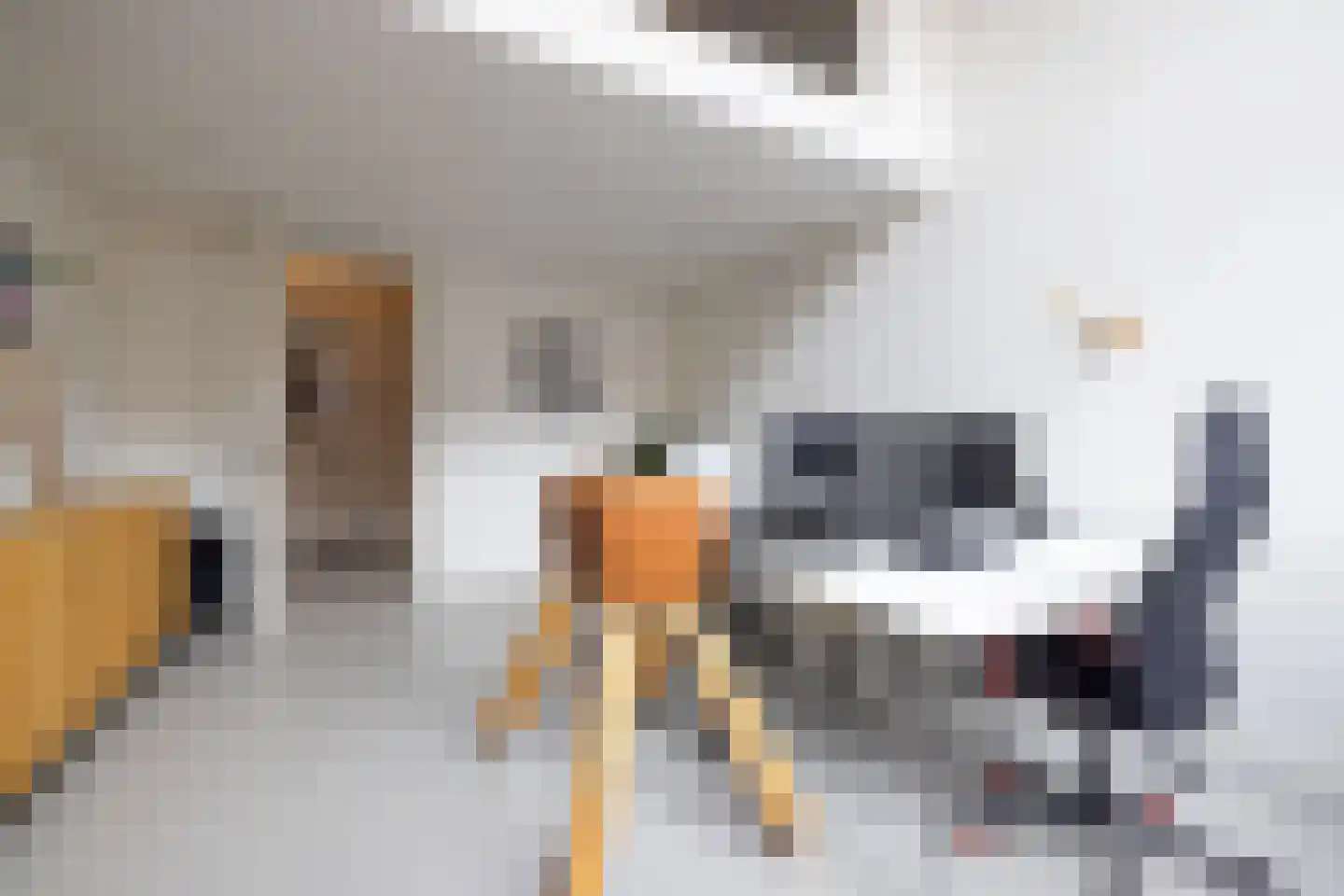 Moerkapellestraat 19 Rotterdam thumbnail 38