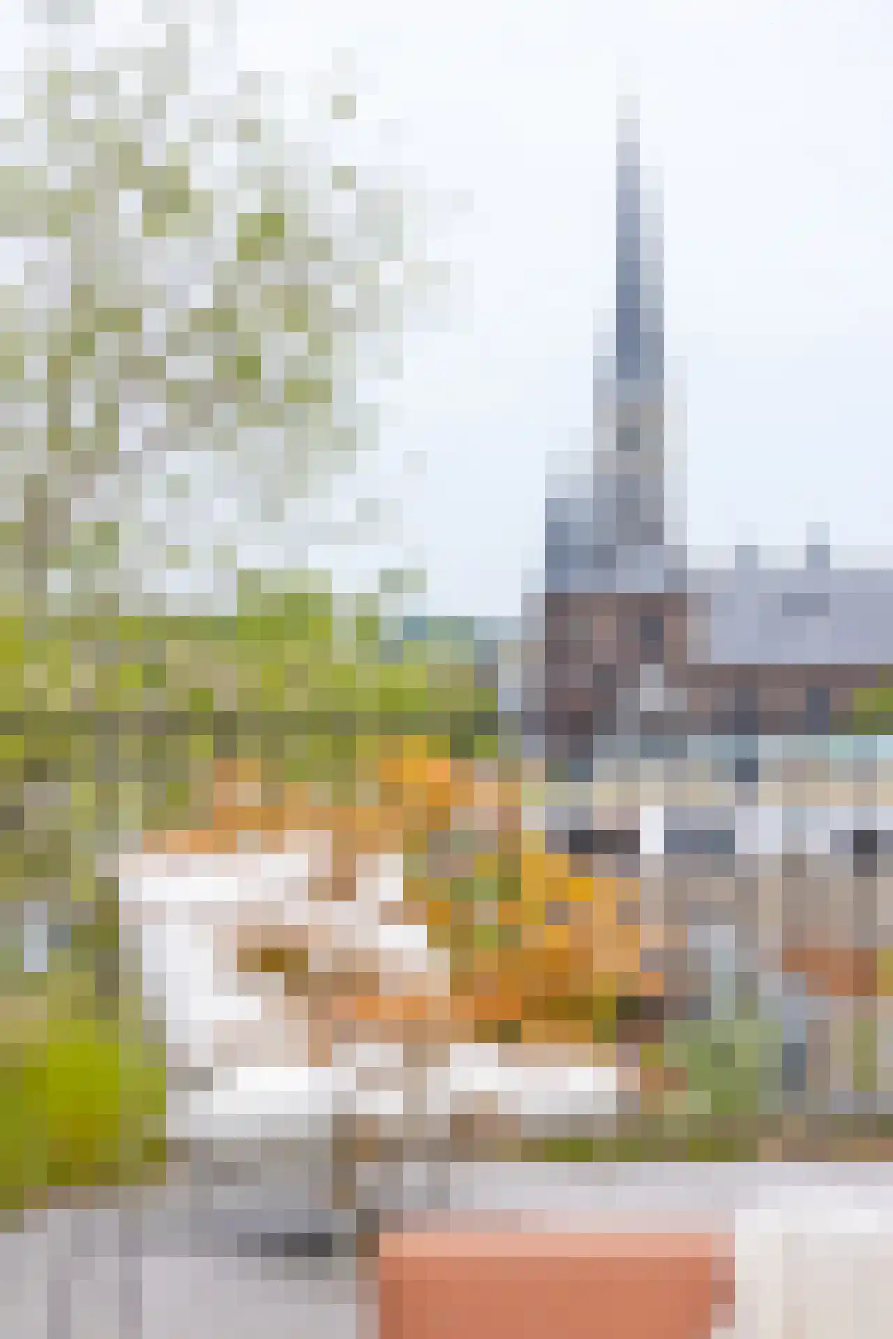 Moerkapellestraat 19 Rotterdam thumbnail 46