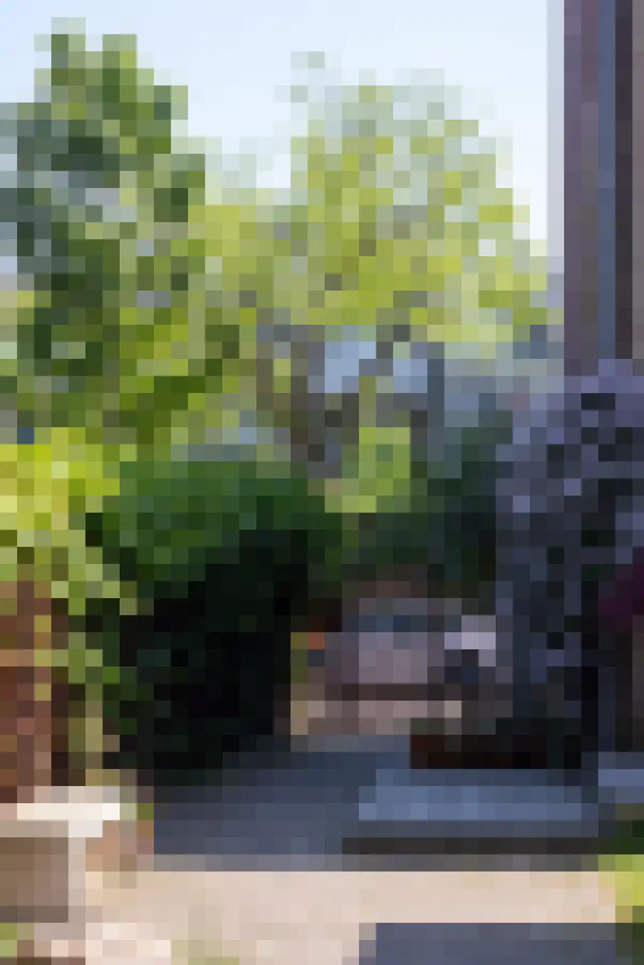 Moerkapellestraat 19 Rotterdam thumbnail 58