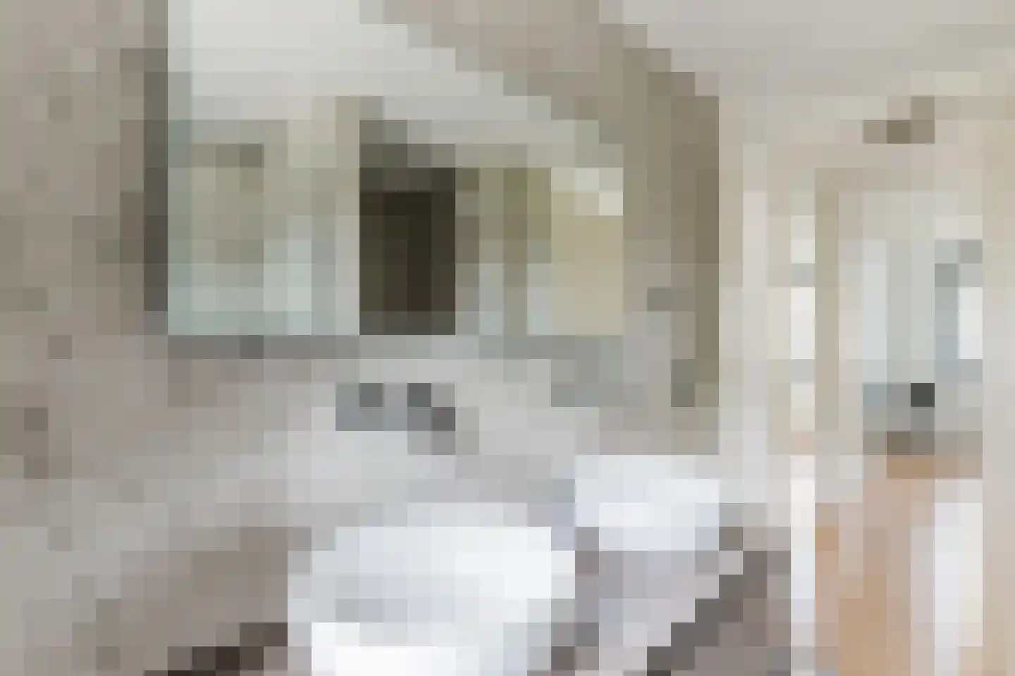 Moerkapellestraat 40 Tilburg thumbnail 17
