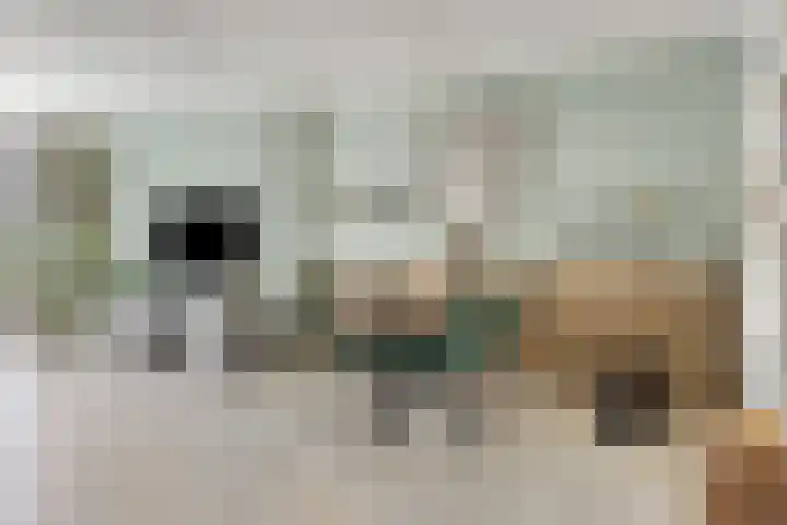 Moerkapellestraat 44 Tilburg thumbnail 11