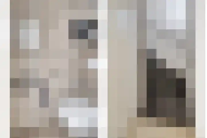 Moerkapellestraat 44 Tilburg thumbnail 19