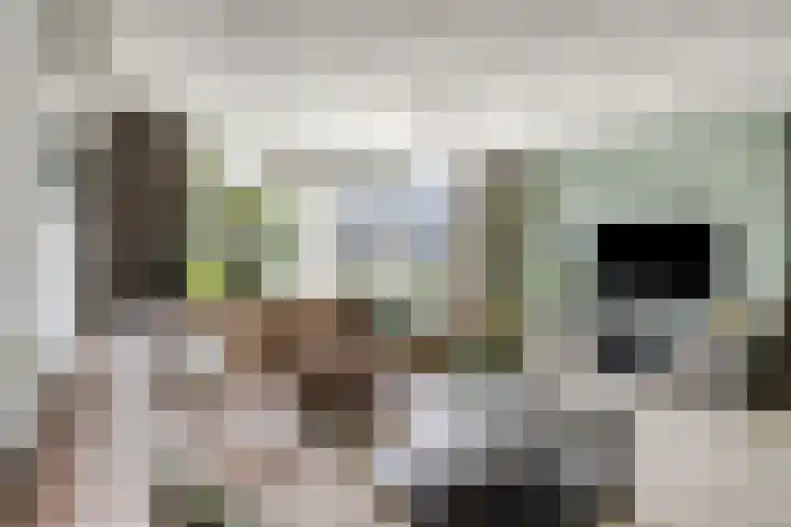 Moerkapellestraat 44 Tilburg thumbnail 5