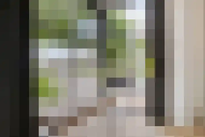 Moerkapellestraat 48 Tilburg thumbnail 15
