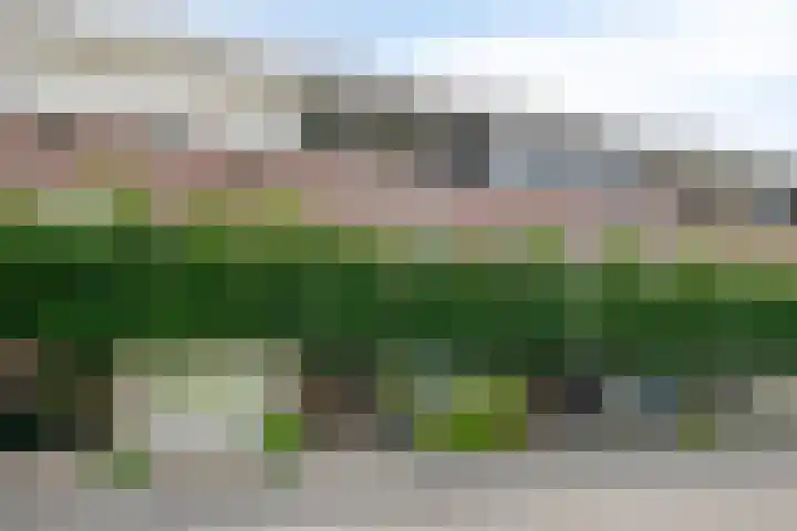 Moerkapellestraat 48 Tilburg thumbnail 5