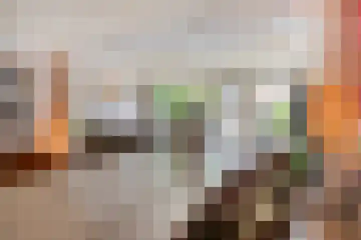 Moerkapellestraat 60 Tilburg thumbnail 9