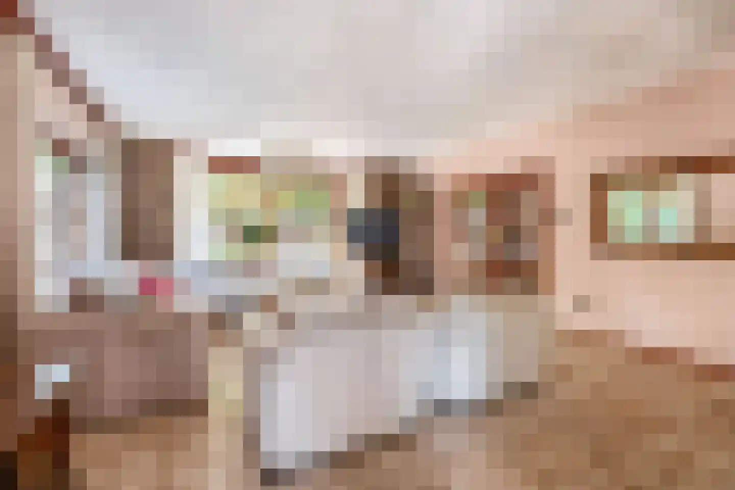 Moerkapelse Zijde 96 Moerkapelle thumbnail 10