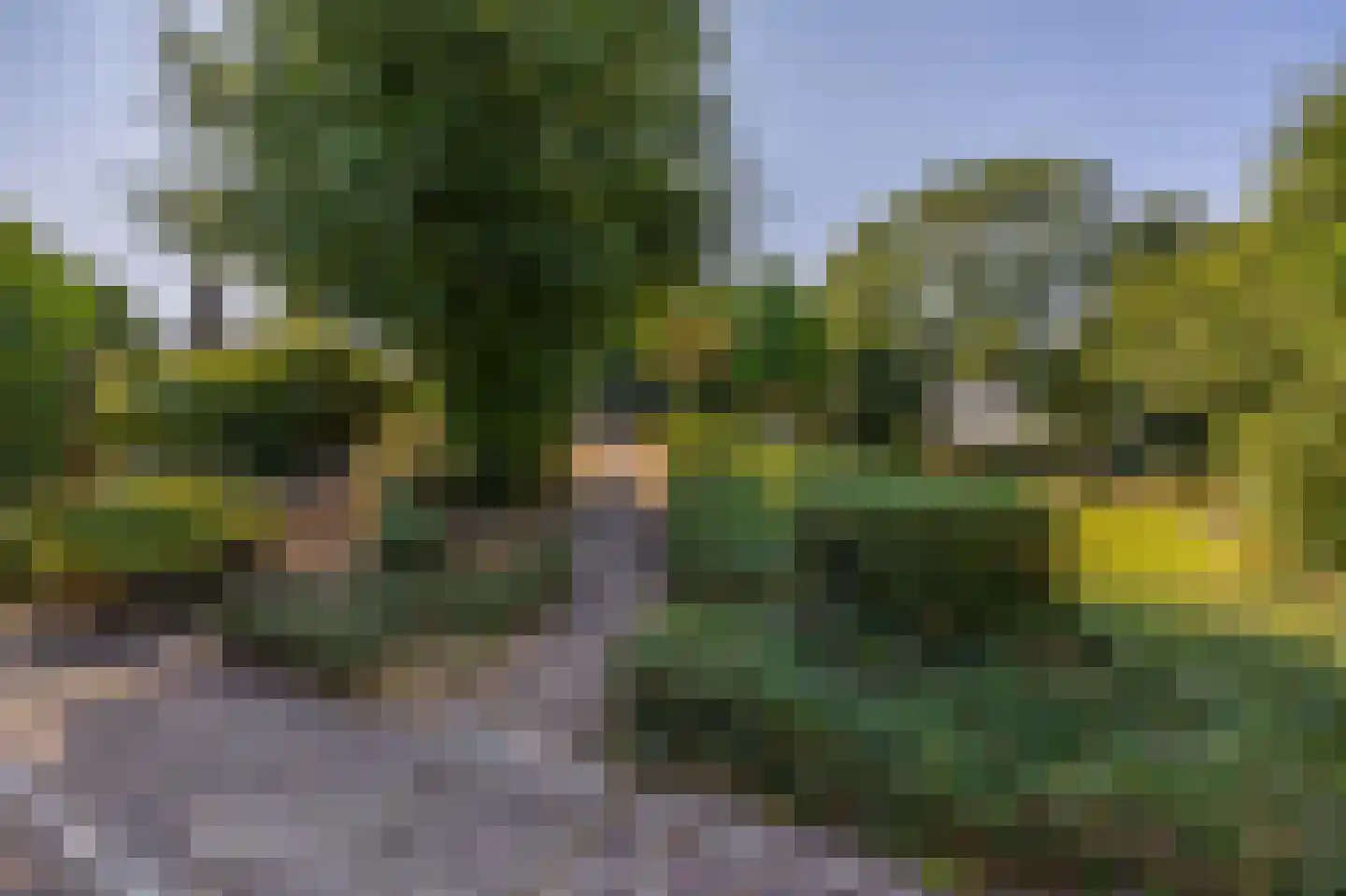 Moerkapelse Zijde 96 Moerkapelle thumbnail 38
