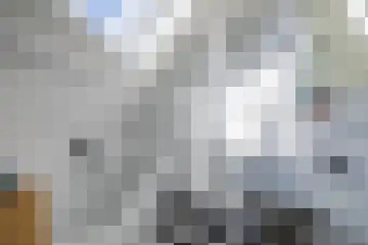 Moerkensgaard 1 Tricht thumbnail 22