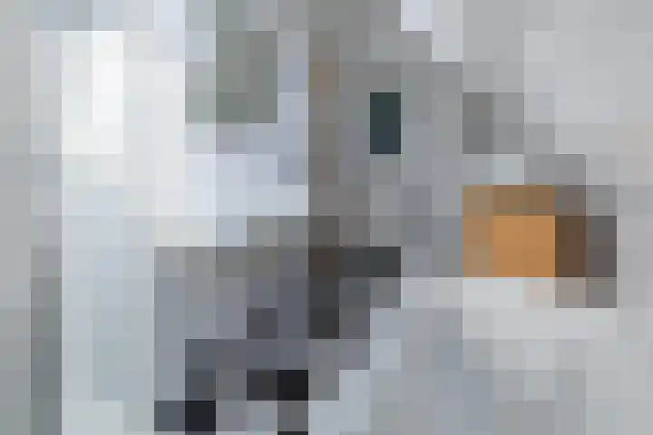 Moerkensgaard 1 Tricht thumbnail 23