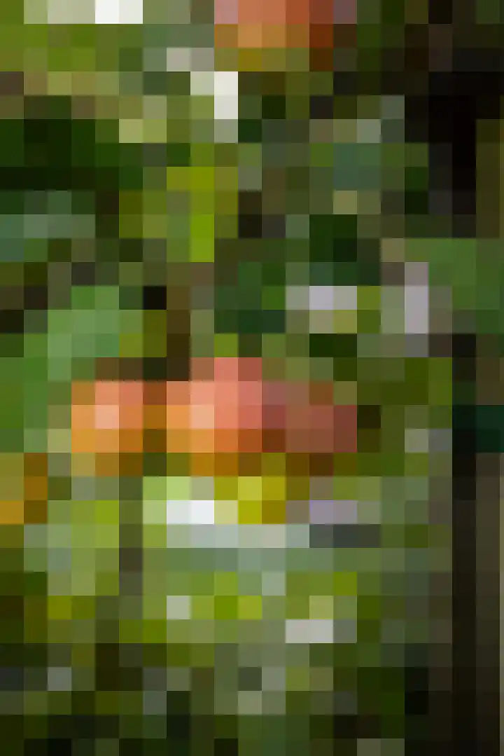 Moerkensgaard 1 Tricht thumbnail 26