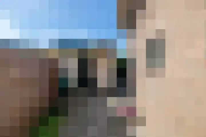 Moerkensgaard 1 Tricht thumbnail 28