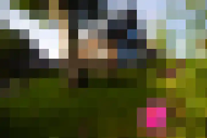 Moerkensgaard 1 Tricht thumbnail 29