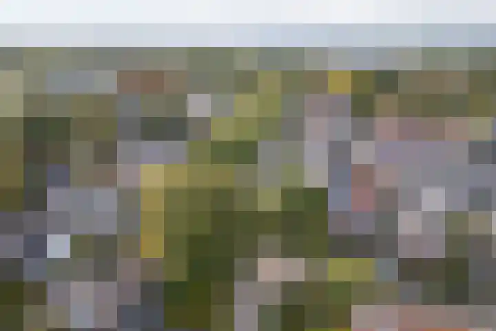 Moerkensgaard 1 Tricht thumbnail 36