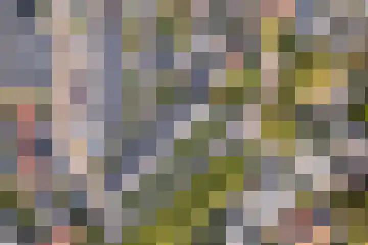 Moerkensgaard 1 Tricht thumbnail 39