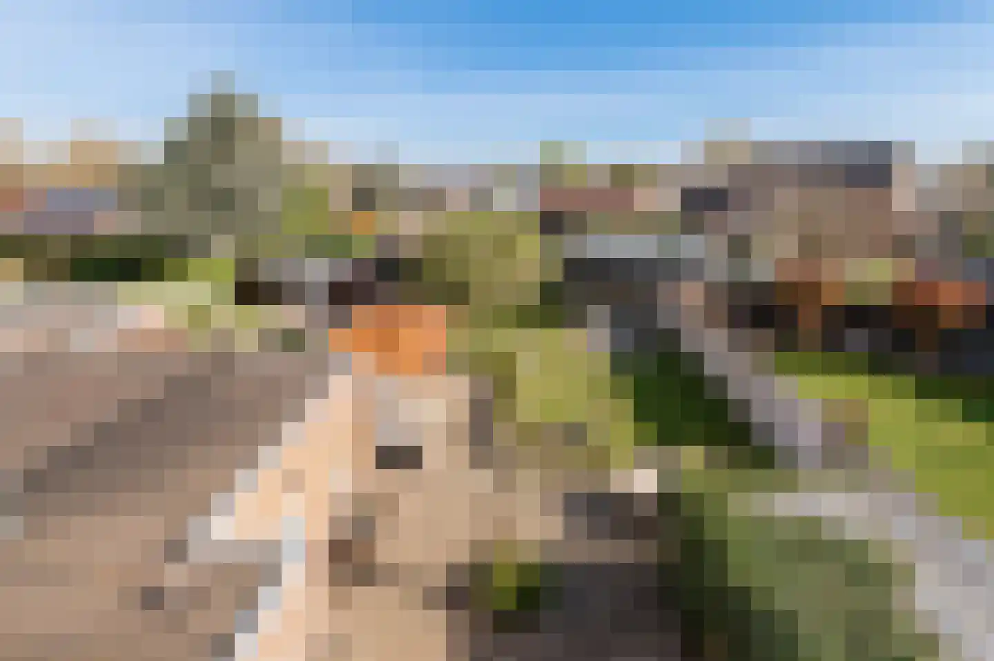 Moerkensgaard 14 Tricht thumbnail 33