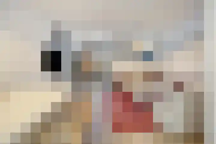 Moerkerkestraat 25 B Rotterdam thumbnail 10