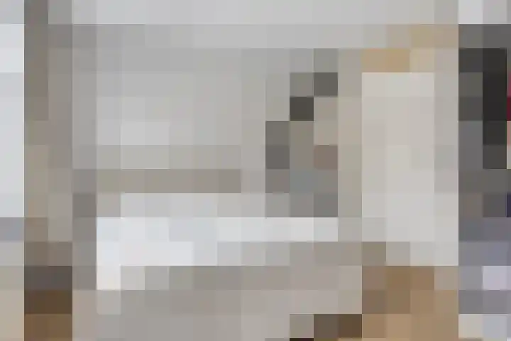 Moerkerkestraat 25 B Rotterdam thumbnail 19