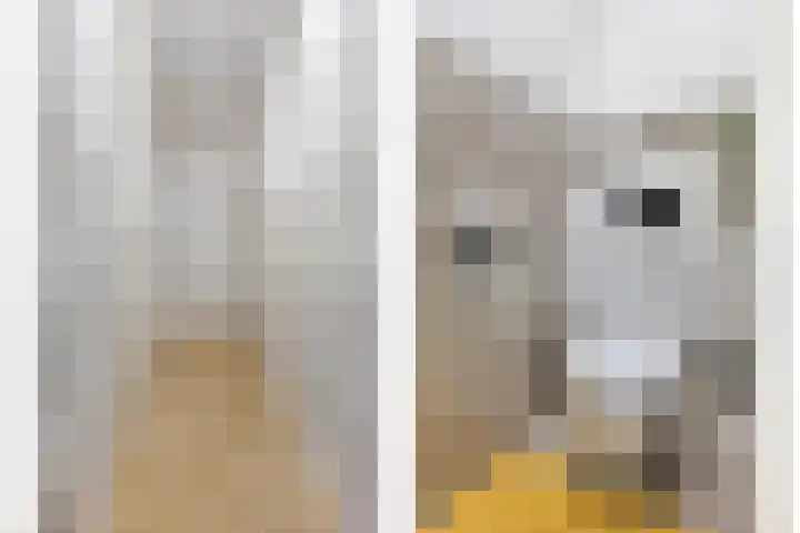 Moerkerkestraat 25 B Rotterdam foto 2