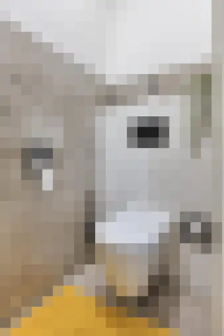 Moerkerkestraat 25 B Rotterdam thumbnail 5