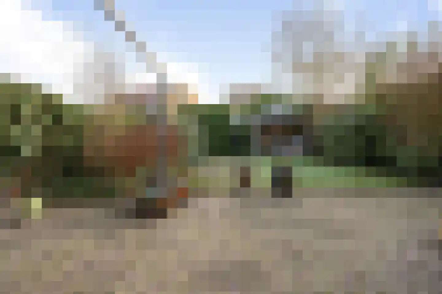 Moerlaken 12 Etten-Leur thumbnail 44