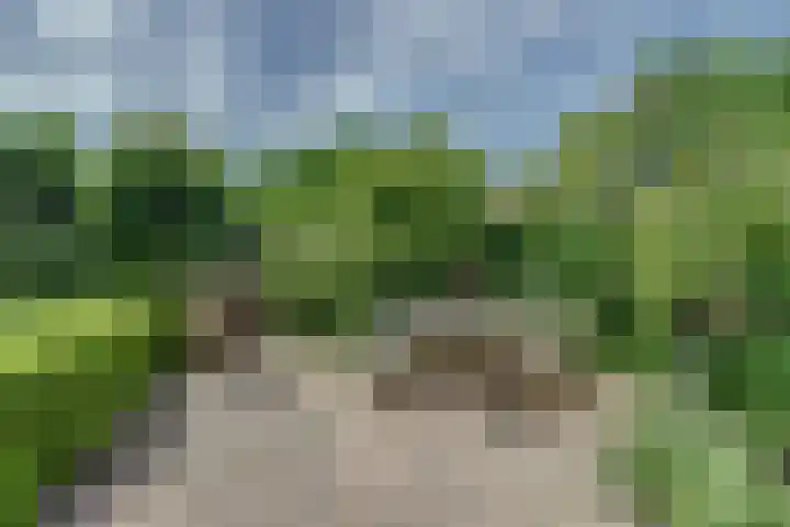 Moerlaken 23 Etten-Leur thumbnail 42