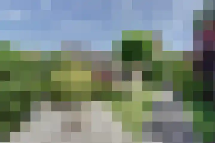Moerlaken 23 Etten-Leur thumbnail 43