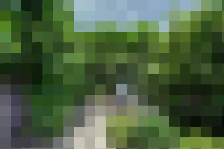 Moerlaken 23 Etten-Leur thumbnail 45