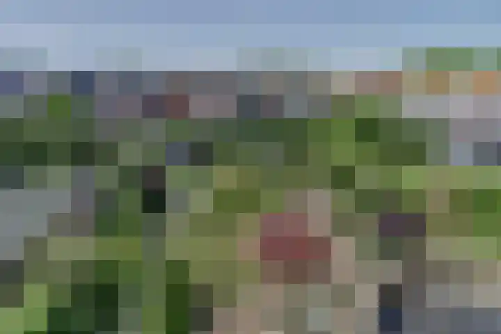 Moerlaken 23 Etten-Leur thumbnail 47