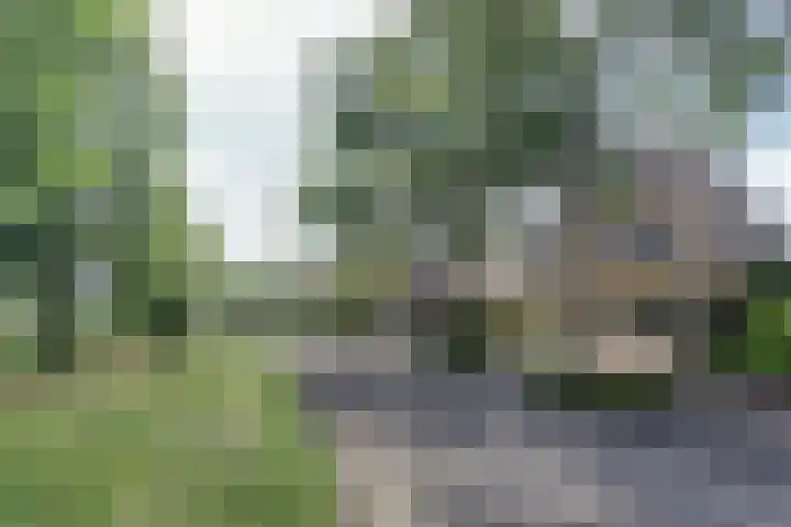 Moerlaken 23 Etten-Leur thumbnail 48