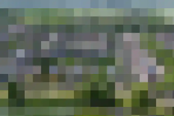Moerlaken 23 Etten-Leur thumbnail 49