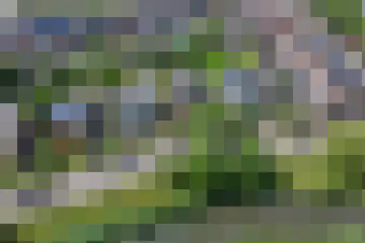 Moerlaken 23 Etten-Leur thumbnail 5