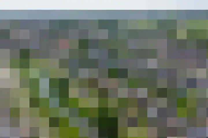 Moerlaken 23 Etten-Leur thumbnail 50
