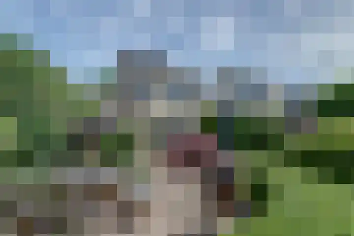 Moerlaken 23 Etten-Leur thumbnail 6