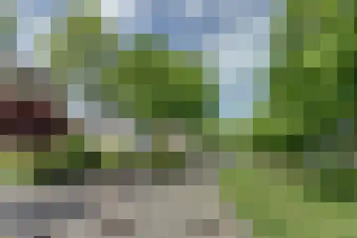 Moerlaken 23 Etten-Leur thumbnail 7