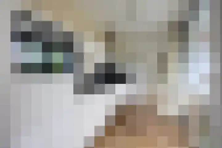 Moerlaken 44 Etten-Leur thumbnail 18