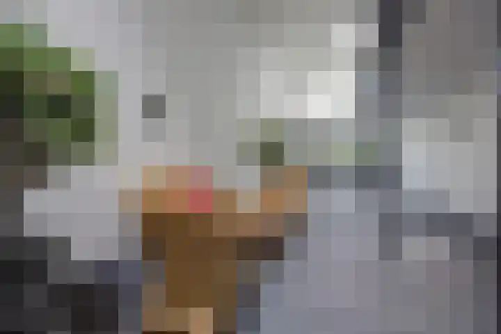 Moerlaken 44 Etten-Leur thumbnail 7